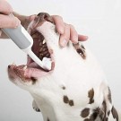Cleany Teeth starter kit thumbnail