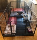 Orginale Crufts grinder thumbnail