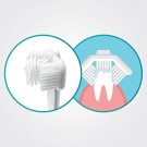 Cleany Teeth starter kit thumbnail