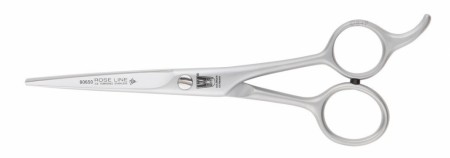 RL 80650 6,5