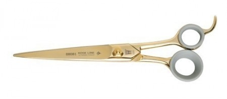 RL 88081 8,25