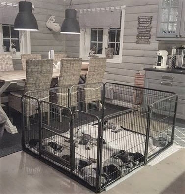 Med ekstra deler kan du enkelt bygge ut din Crufts grind slik at den passer ditt behov.