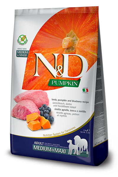 N&D Pumpkin Lamb & Blueberry Adult Med & Maxi - 12 kg