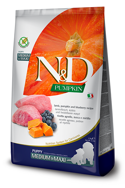N&D Pumpkin Lamb & Blueberry Puppy Med & Maxi - 12 kg